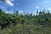 Undeveloped Land for sale in Saint Tammany Parish, Louisiana