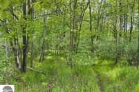Property for sale in Isabella County, Michigan