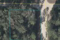 Undeveloped Land for sale in Dixie County, Florida