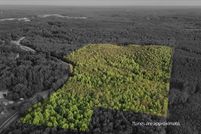 Undeveloped Land for sale in Walker County, Alabama