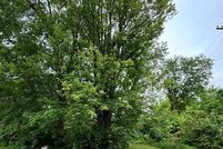 Property for sale in Wayne County, Michigan