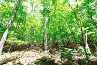 Undeveloped Land for sale in Frederick County, Virginia