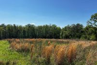 Property for sale in Pike County, Alabama