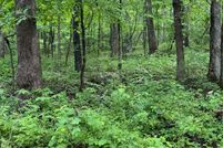 Property for sale in Douglas County, Missouri