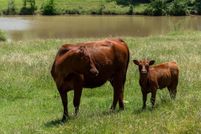 Property for sale in Grayson County, Texas