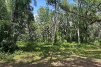 Undeveloped Land for sale in Levy County, Florida