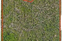 Undeveloped Land for sale in Oceana County, Michigan