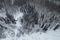 Property for sale in Fairbanks North Star Borough, Alaska