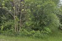 Undeveloped Land for sale in Isabella County, Michigan