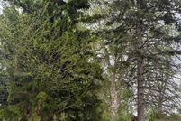 Undeveloped Land for sale in Saginaw County, Michigan