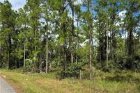 Undeveloped Land for sale in Lee County, Florida