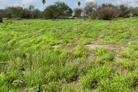Undeveloped Land for sale in Hidalgo County, Texas