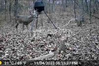 Property for sale in Carter County, Missouri