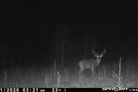 Property for sale in Sharp County, Arkansas