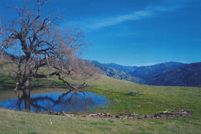 Undeveloped Land for sale in Sonoma County, California