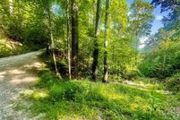 Undeveloped Land for sale in Graham County, North Carolina