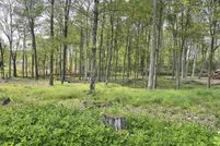 Undeveloped Land for sale in Preston County, West Virginia