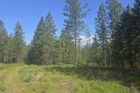 Undeveloped Land for sale in Stevens County, Washington