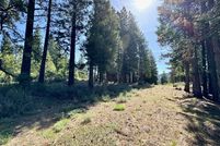 Property for sale in Sierra County, California