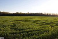 Property for sale in Frederick County, Maryland