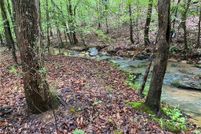 Undeveloped Land for sale in Elbert County, Georgia