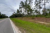 Undeveloped Land for sale in Levy County, Florida