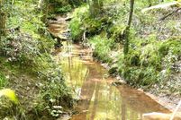 Undeveloped Land for sale in Harrison County, Texas