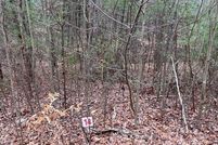 Undeveloped Land for sale in Patrick County, Virginia