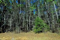 Property for sale in Dale County, Alabama