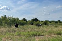 Undeveloped Land for sale in Wise County, Texas
