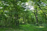 Undeveloped Land for sale in Searcy County, Arkansas