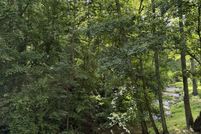 Property for sale in Hall County, Georgia