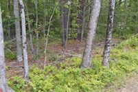 Undeveloped Land for sale in Lincoln County, Maine