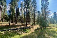 Property for sale in Plumas County, California