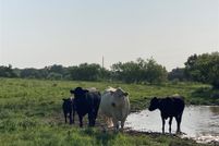 Property for sale in Hill County, Texas