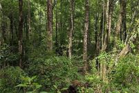 Property for sale in Mobile County, Alabama