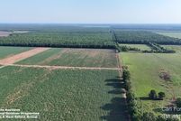 Undeveloped Land for sale in Saint Landry Parish, Louisiana