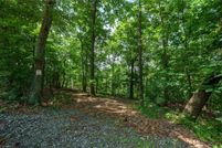 Undeveloped Land for sale in Wilkes County, North Carolina