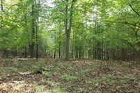 Undeveloped Land for sale in Lake County, Michigan