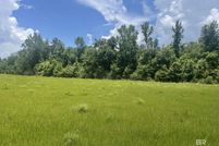 Undeveloped Land for sale in Baldwin County, Alabama
