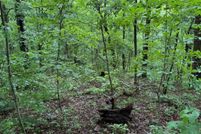 Undeveloped Land for sale in Towns County, Georgia