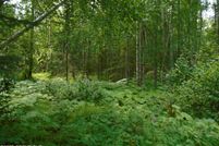 Property for sale in Matanuska-Susitna Borough, Alaska