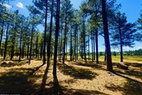 Lakefront Property for sale in Navajo County, Arizona