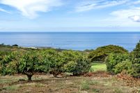 Undeveloped Land for sale in Hawaii County, Hawaii