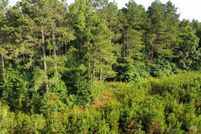 Property for sale in Bradley County, Arkansas