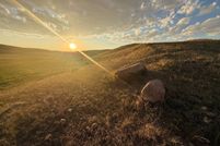 Undeveloped Land for sale in Phillips County, Montana