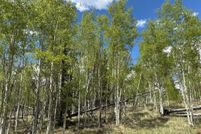 Undeveloped Land for sale in Park County, Colorado