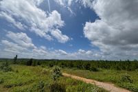 Undeveloped Land for sale in Etowah County, Alabama
