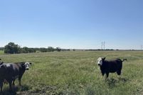 Undeveloped Land for sale in Barton County, Kansas