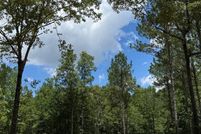 Undeveloped Land for sale in Harnett County, North Carolina